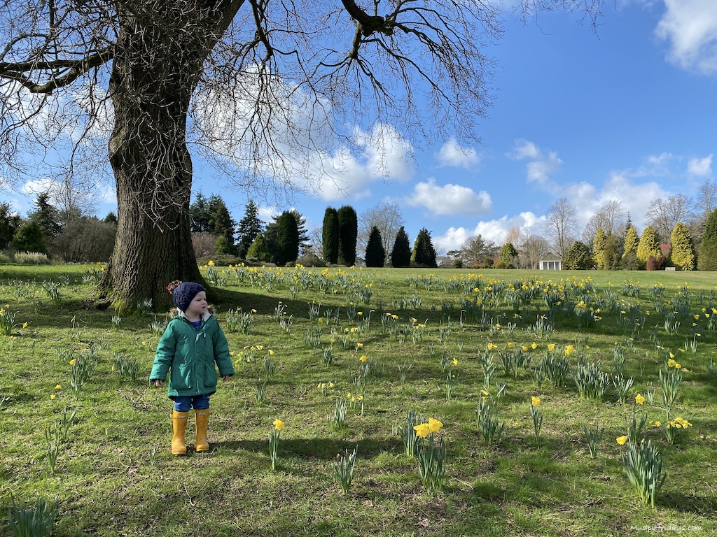 10 Best National Trust Places to visit in Sussex