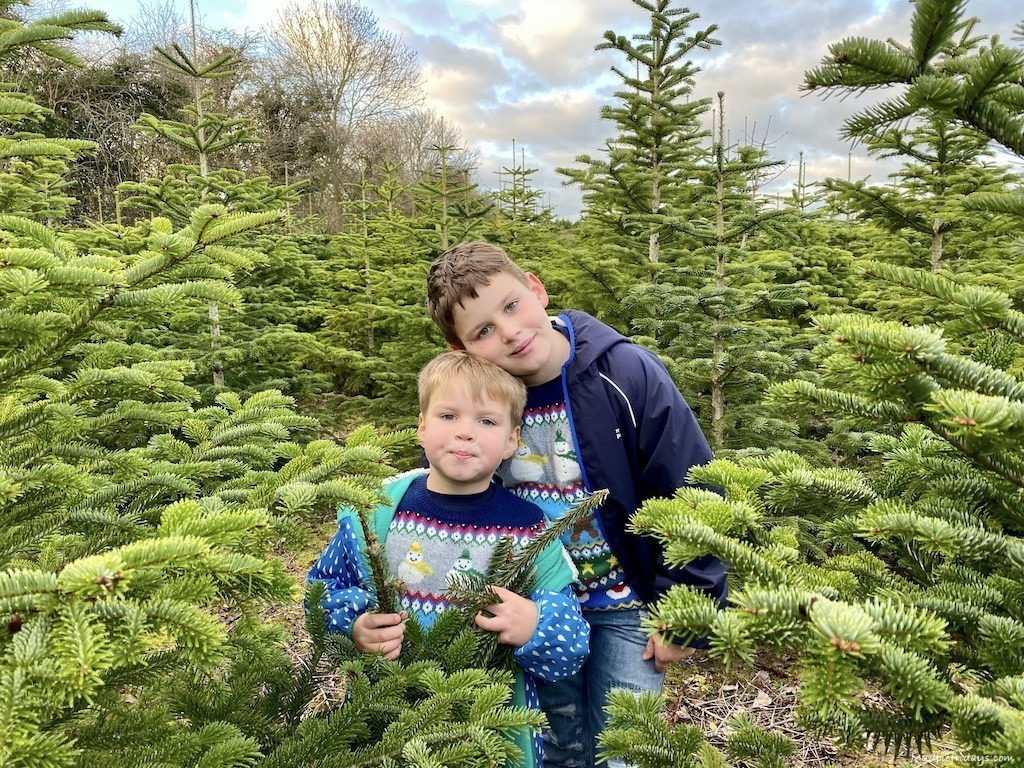 11 Christmas Tree Farms in Kent 2023