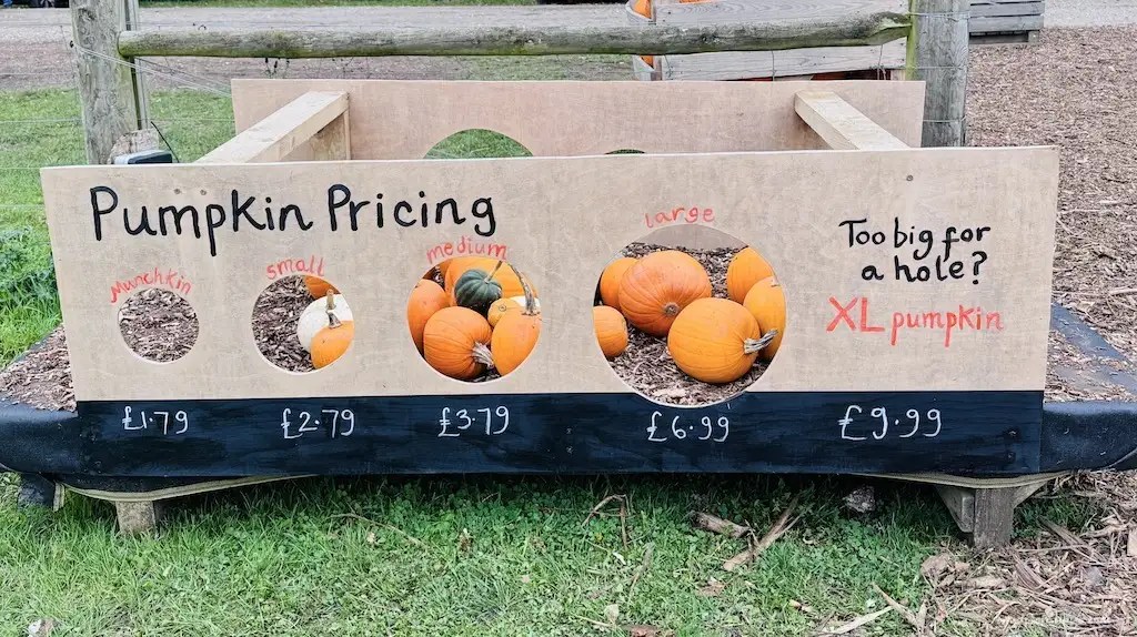 Garsons Farm Pumpkin Parade PYO in Surrey What to Expect