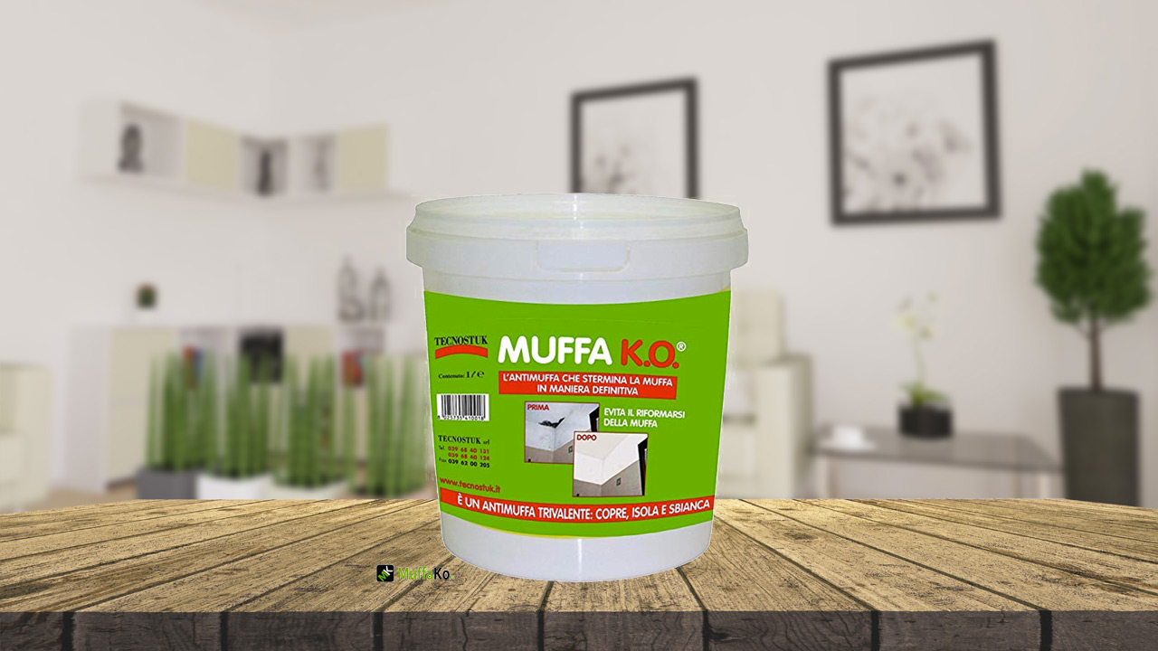 Prodotti Antimuffa Tecnotuk come togliere umidità dai muri Muffa ko