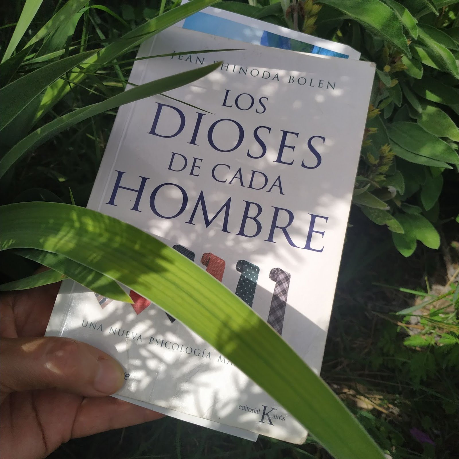 Libro "Los Dioses de cada hombre" Mujer Cíclica