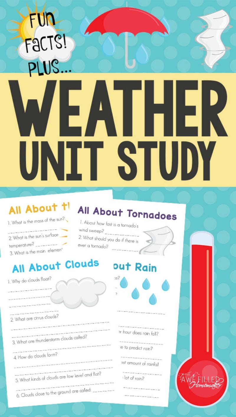 Fun Facts About the Weather Unit Study