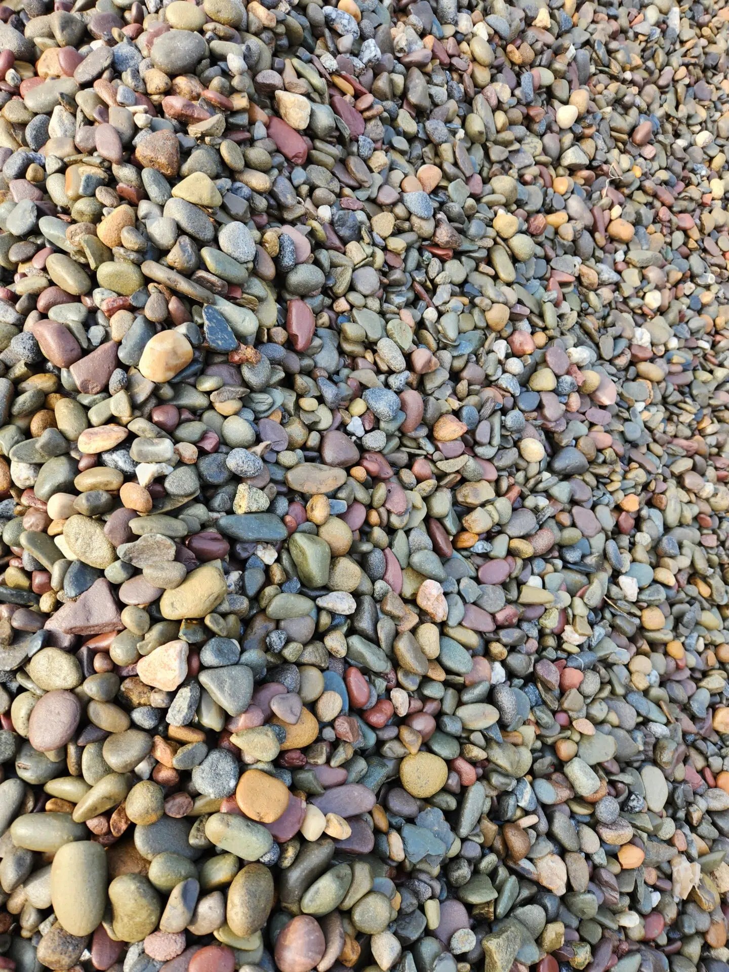 20230729_082742 Mulch Barn