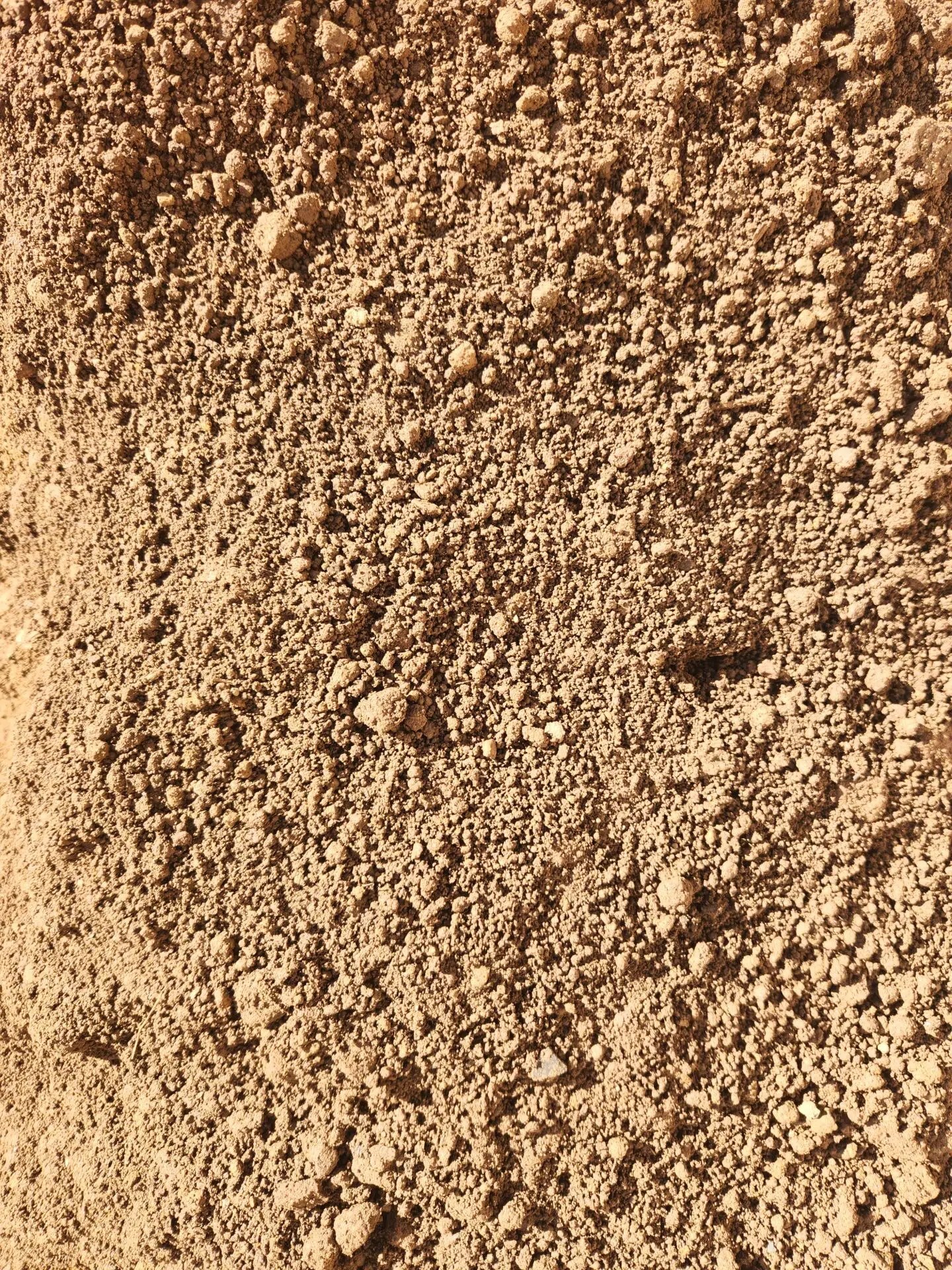 20240205_143855 Mulch Barn