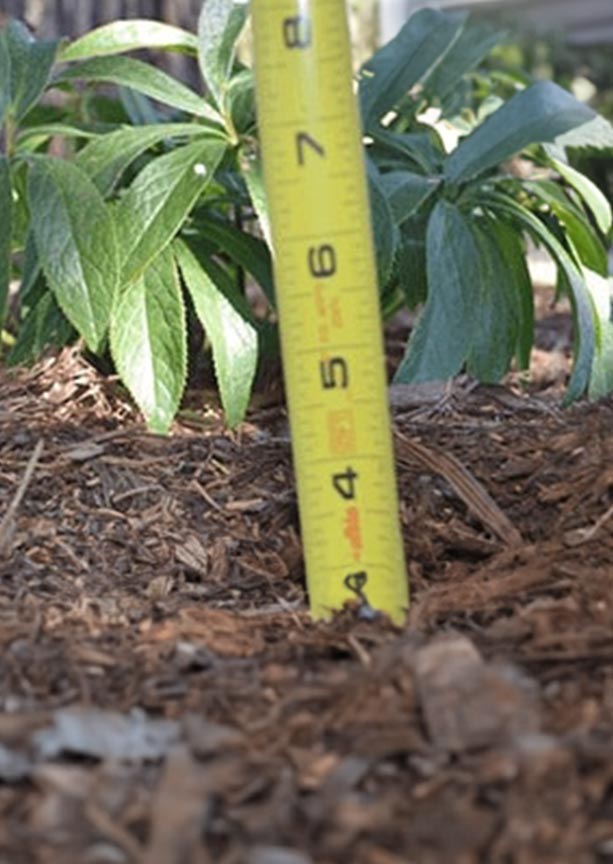 Proper Mulching Techniques Mulch Center