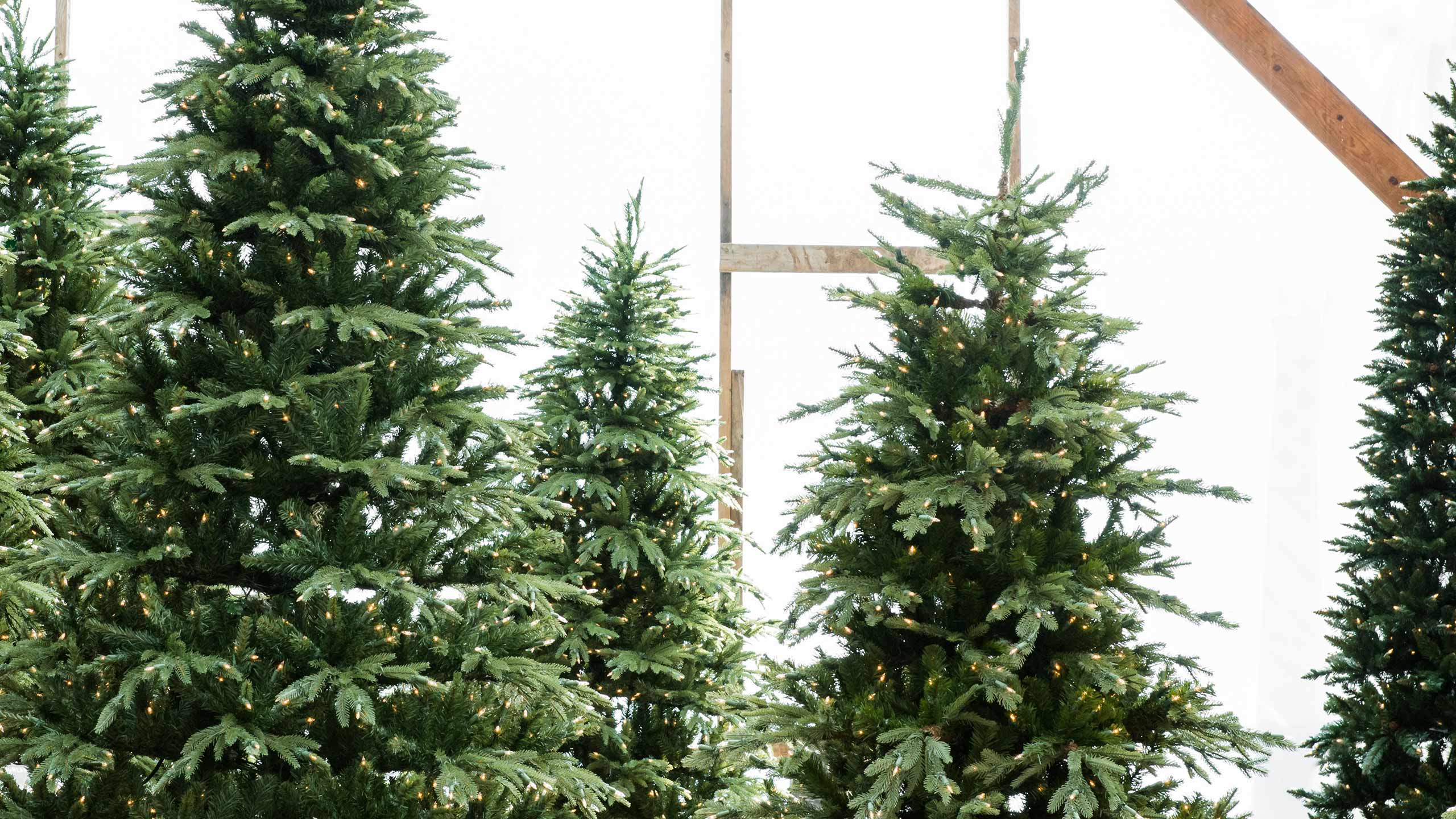 PostHoliday Storage Tips for Your Lifelike Christmas Tree Mulhall's