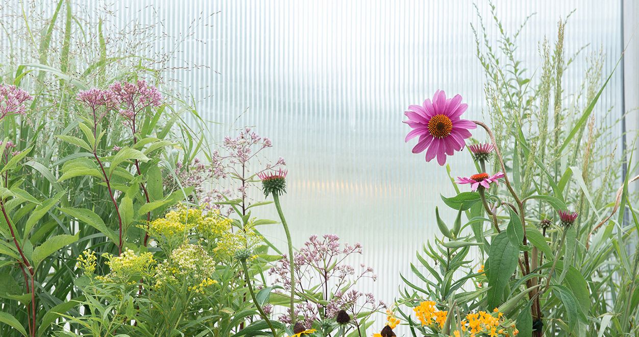 Garden Center Events Mulhall's Nursery in Omaha, Nebraska