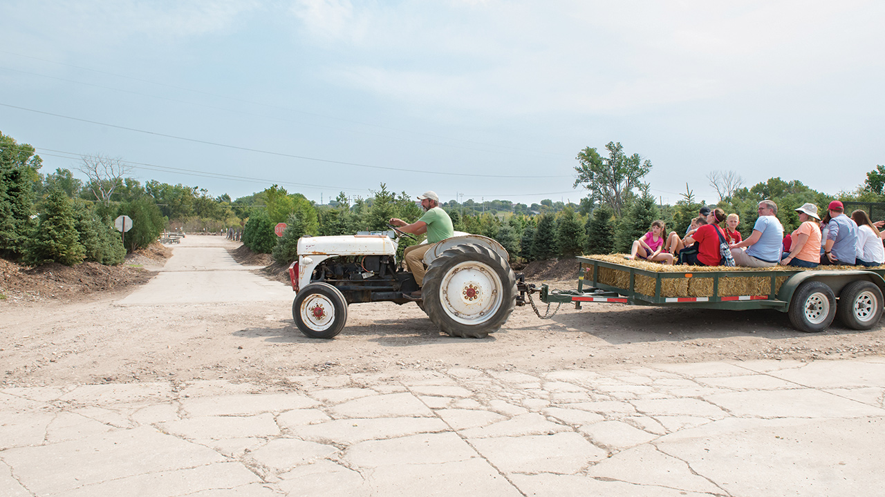 Join Us For A Harvest Party Mulhall's