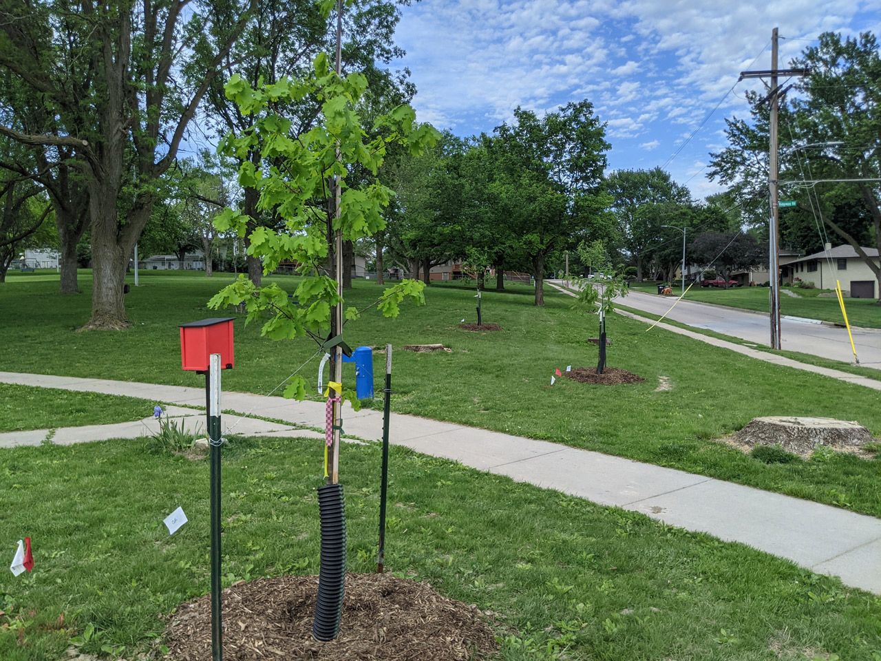 New Trees For Omaha Mulhall's Partnership With Keep Omaha Beautiful
