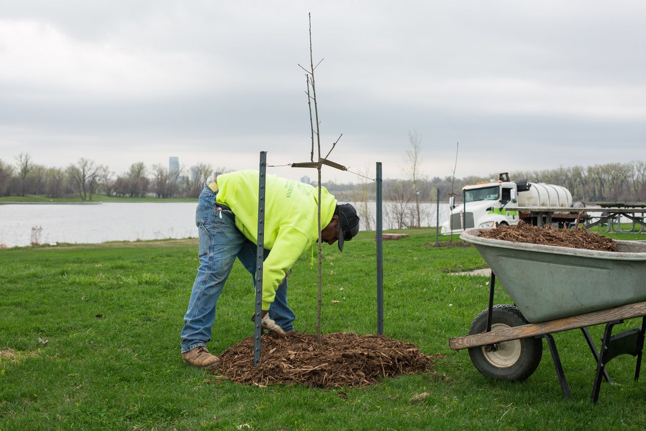 New Trees For Omaha Mulhall's Partnership With Keep Omaha Beautiful