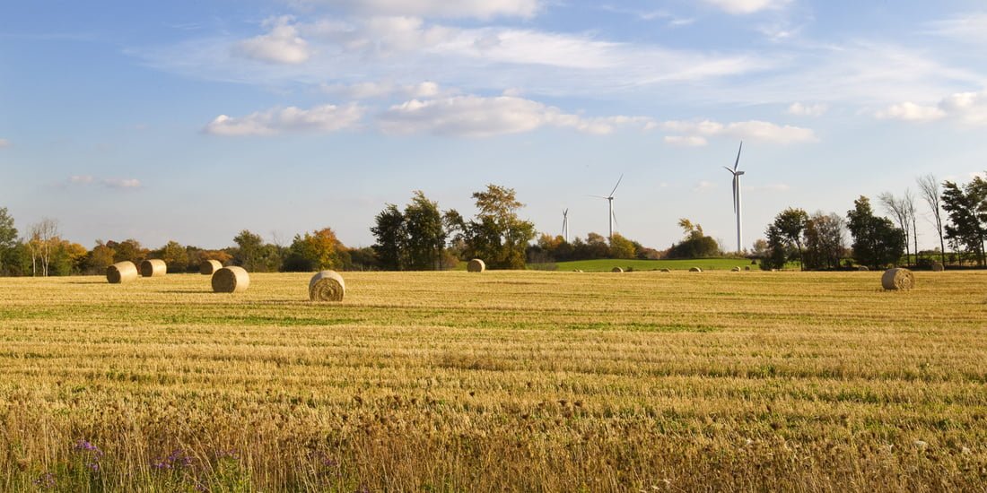 About Amaranth & Amaranth Real Estate Mullin Group