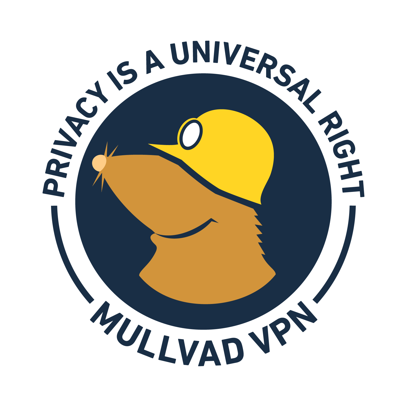 Introducing Shadowsocks Obfuscation for WireGuard