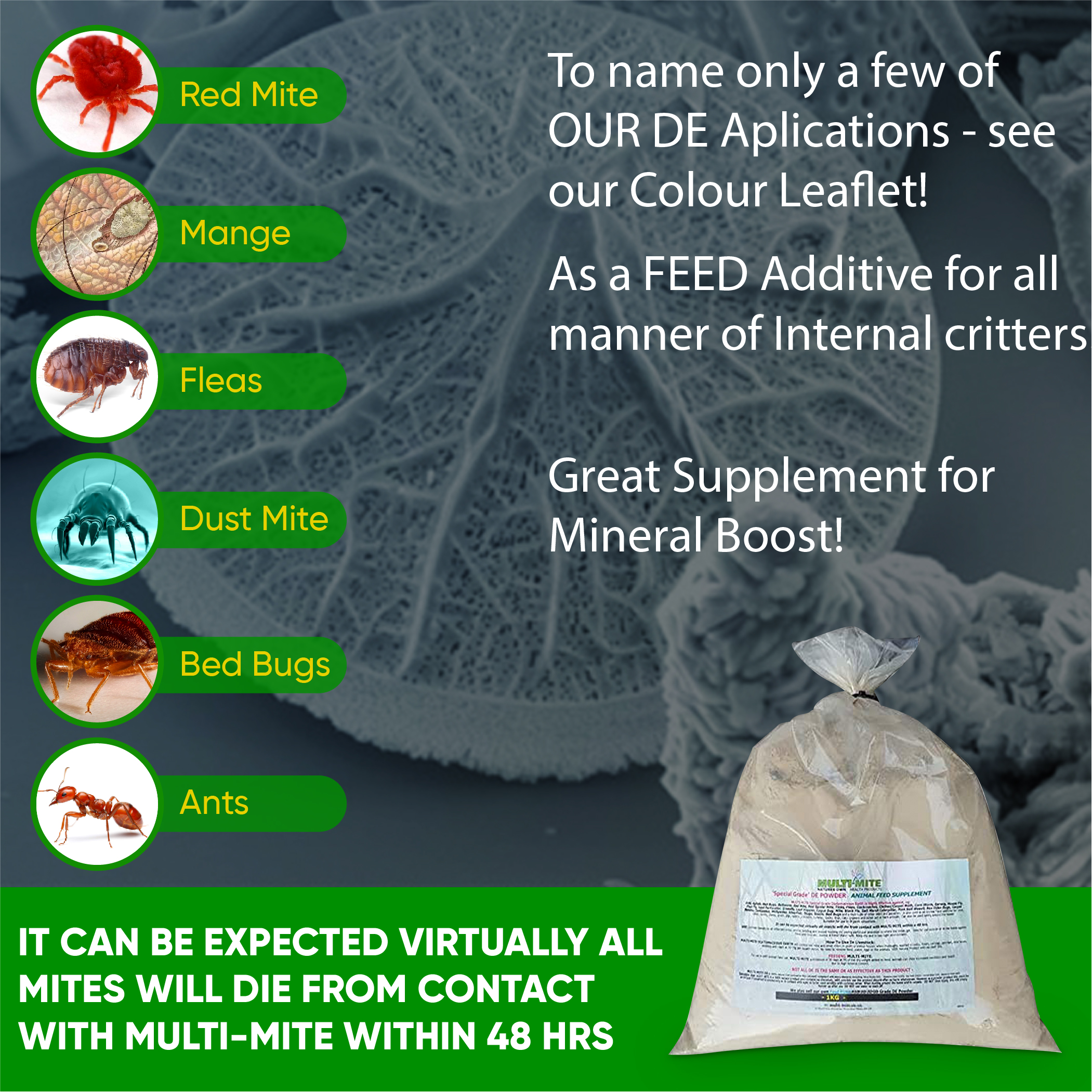 What Is Diatomaceous Earth Used For In Dogs