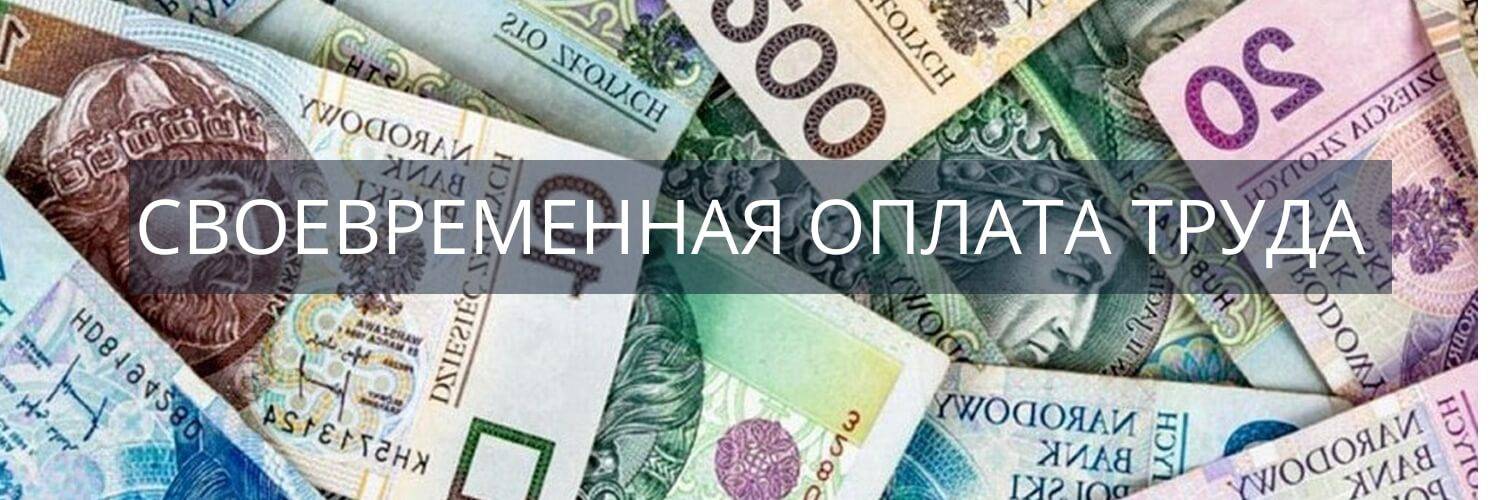 Работа на заводе LG в Польше, какие есть нюансы, отзывы