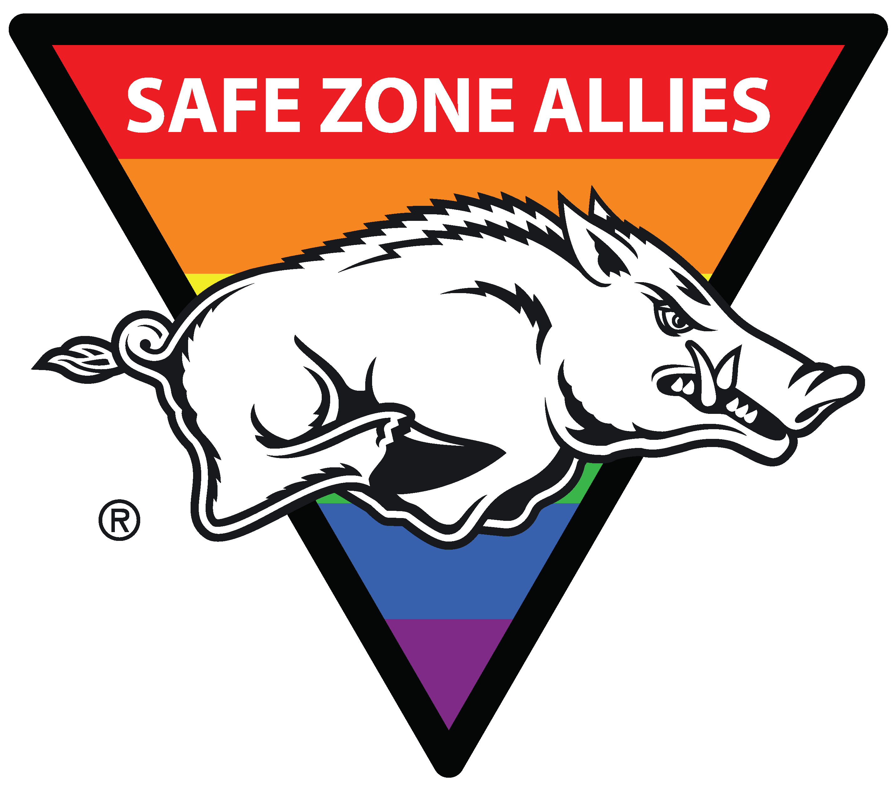 Safe Zone Allies Multicultural Center University of Arkansas
