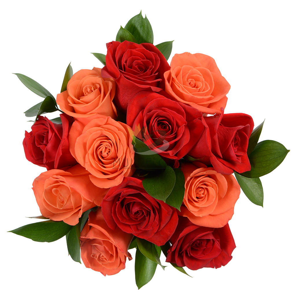 Fall Roses Multiflora