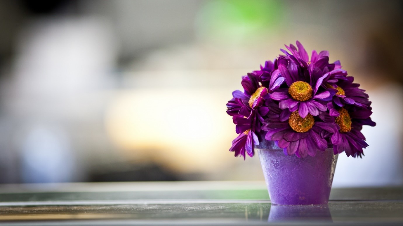 Enjoy the smooth experience of shopping flowers online! MLDesign