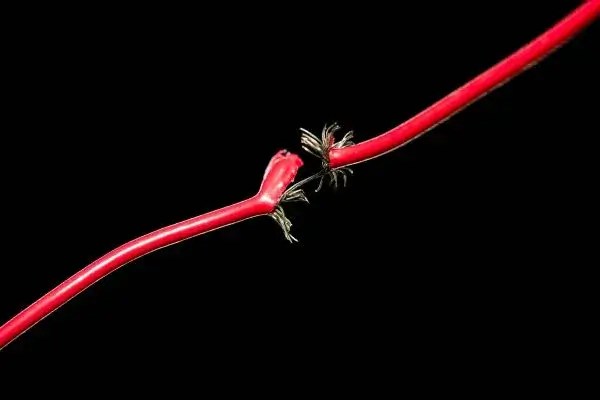 How to Check Wire Continuity with Multimeter? - Multimeterworld