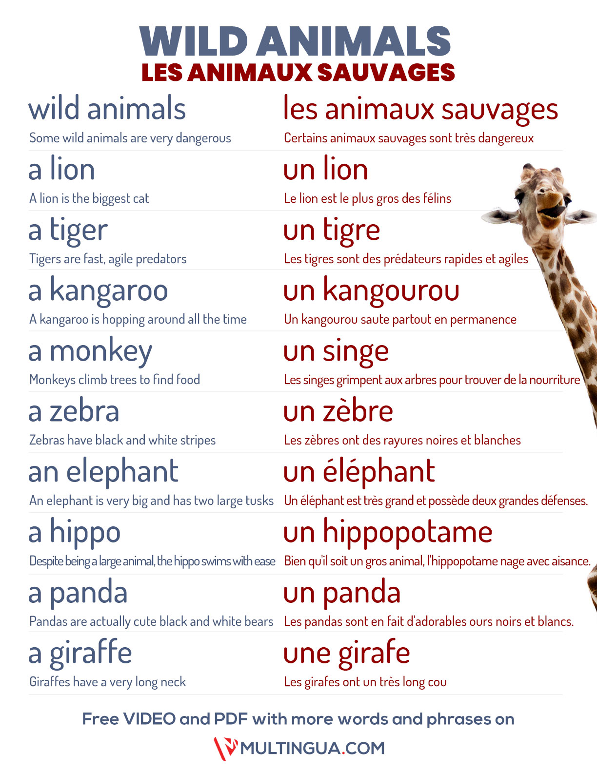 Wild Animals in French free PDF and Video Slides Multingua
