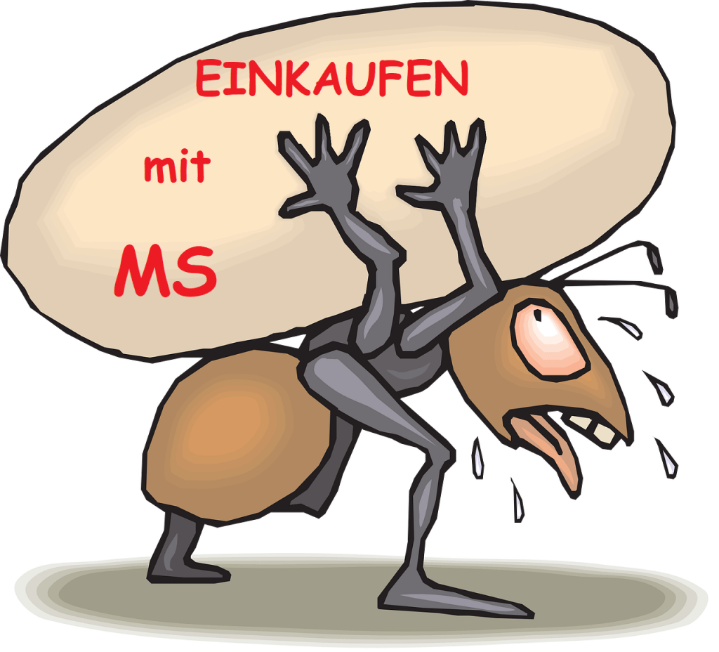 *Wenn Einkaufen zum Horror wird… MS, Schmerzen, Reizüberflutung