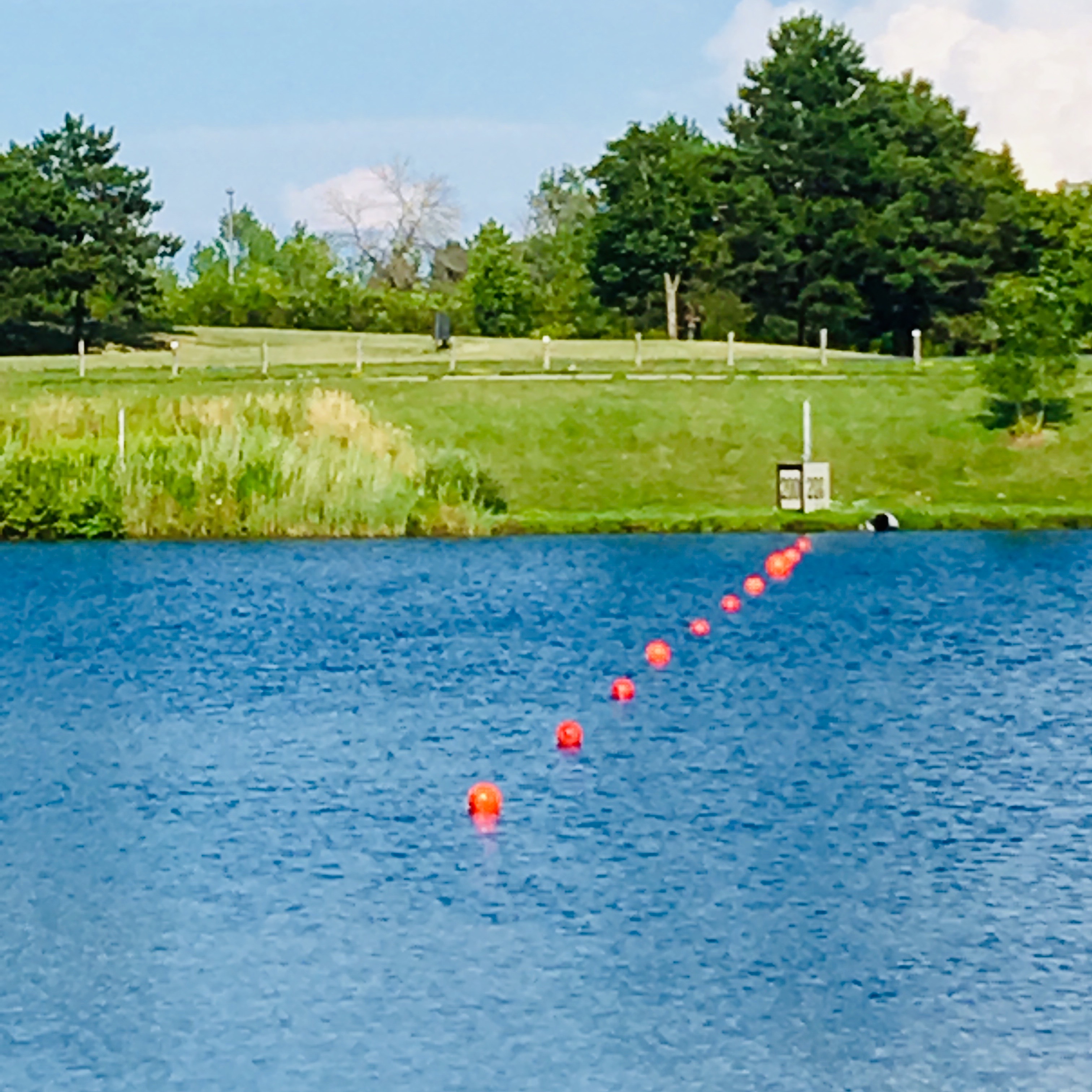 Rock Your Best Swim at the Barrelman’s Swim Course Barrelman Niagara