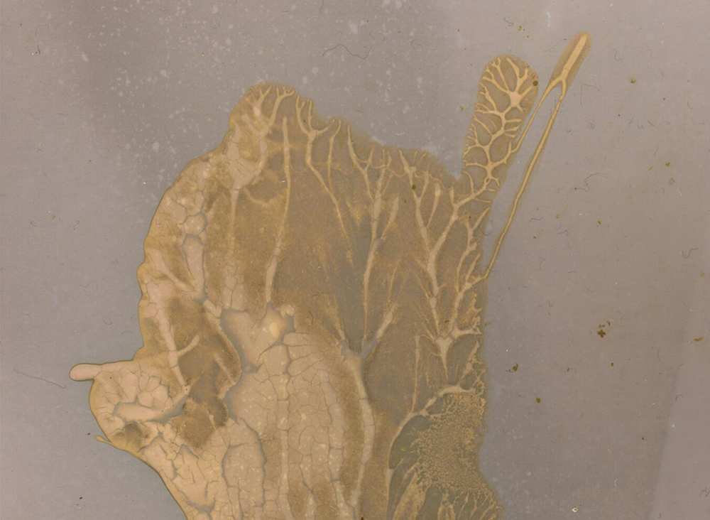 Artist Talk Hannah Fletcher Multistory