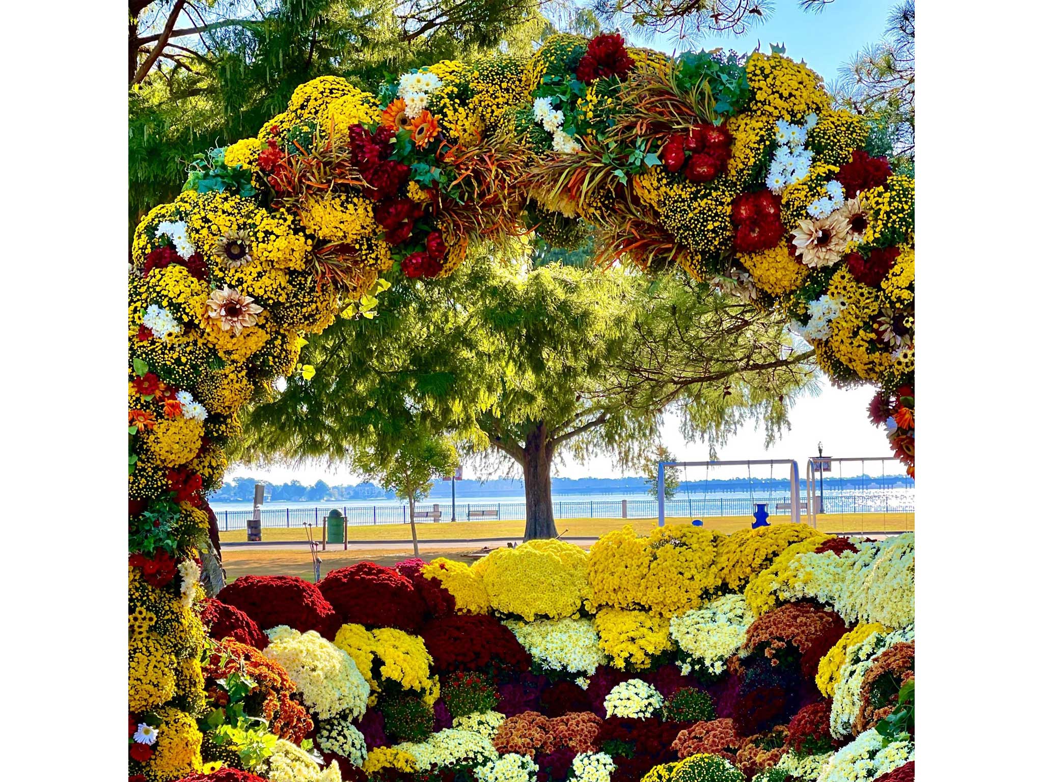 Mumfest 2024 New Bern Nc Usa Paule Diannne