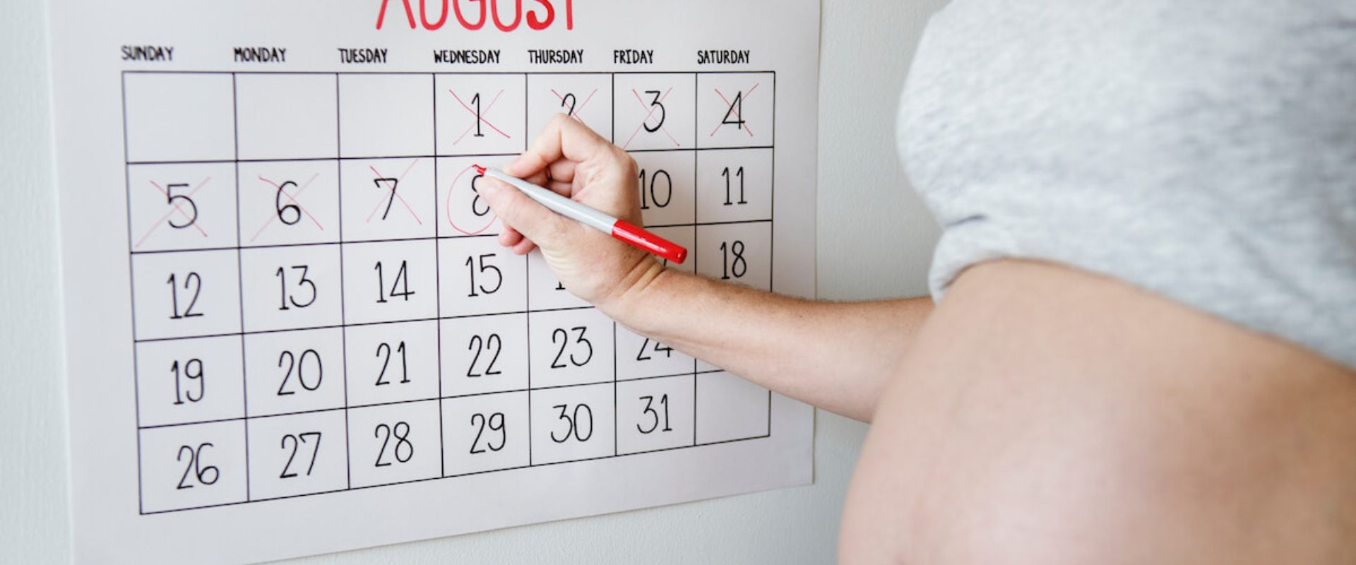 Calculadora de Embarazo Calcula tu Fecha Probable de Parto