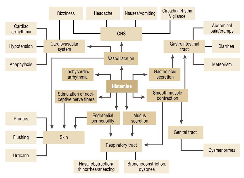 Healing Histamine Intolerance The Complete Guide