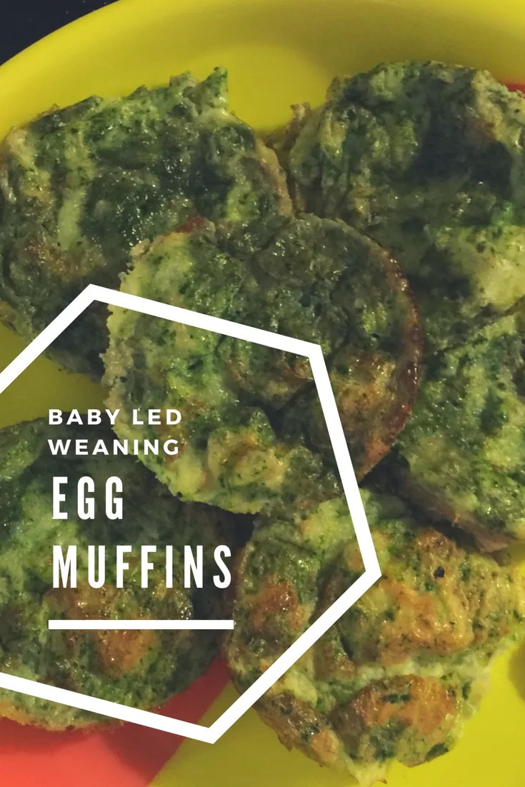 Egg Muffins for Babies Egg Muffins Baby Led Weaning Mummy to Dex