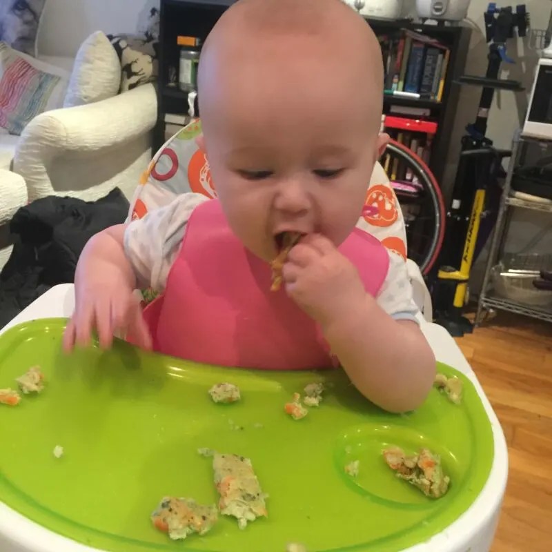 Baby Led Weaning Omelette Recipe Using Old Purees Mummy to Dex