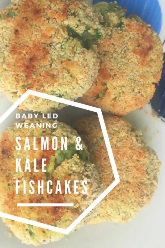 13 Salmon Recipes for Babies Mummy to Dex