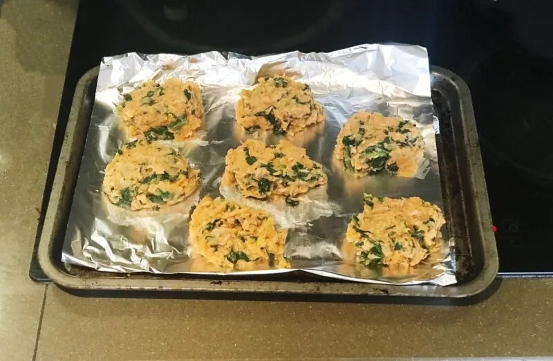 Tuna Recipes for Babies Tuna Patties Tuna Baby Led Weaning