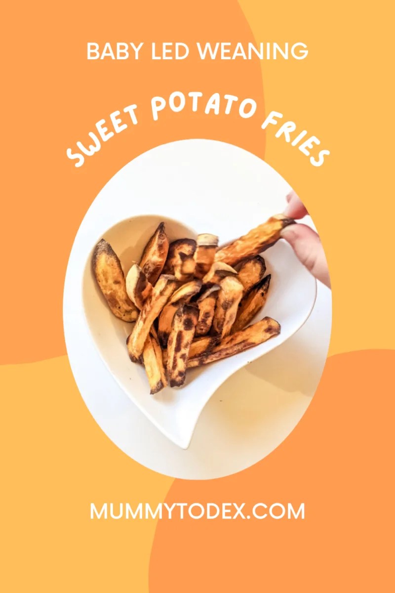 Baby Led Weaning Sweet Potato Fries Sweet Potato Fries for Babies