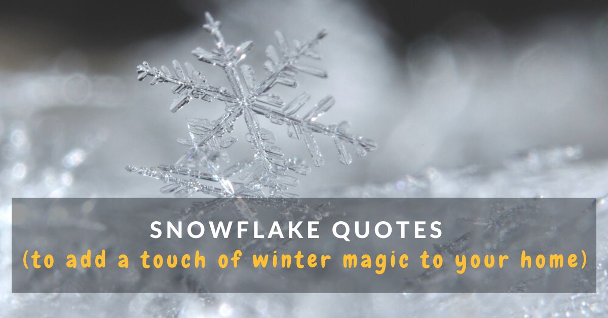 69 Snowflake Quotes To Add A Touch Of Winter Magic To Your Home (2024