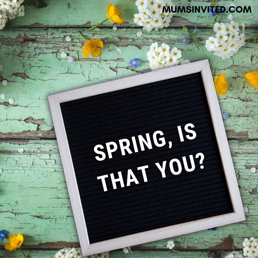 180+ Spring Letter Board Quotes Mums Invited