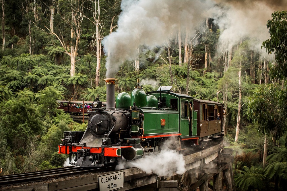 10 Things To Do In The Dandenong Ranges Mum's Little Explorers