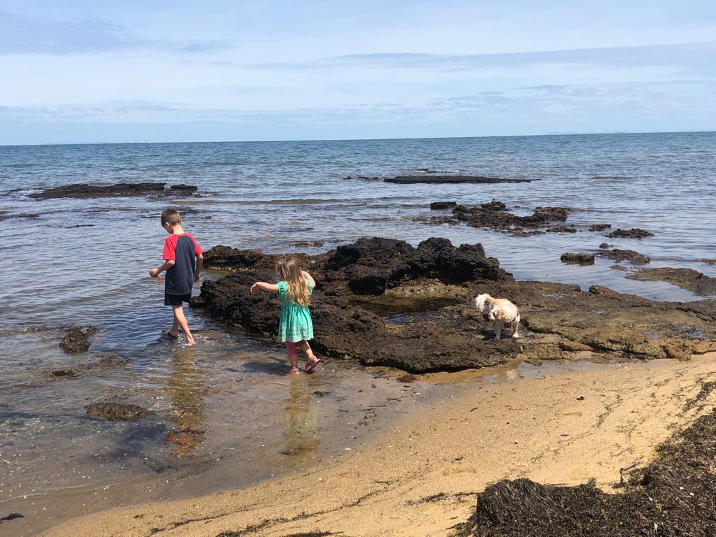 Can Dogs Go To Melbourne Beach