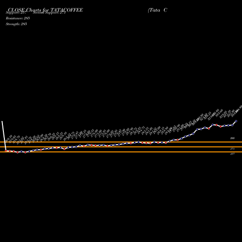 Tata Coffee (TATACOFFEE) forecast target analysis (Buy Sell
