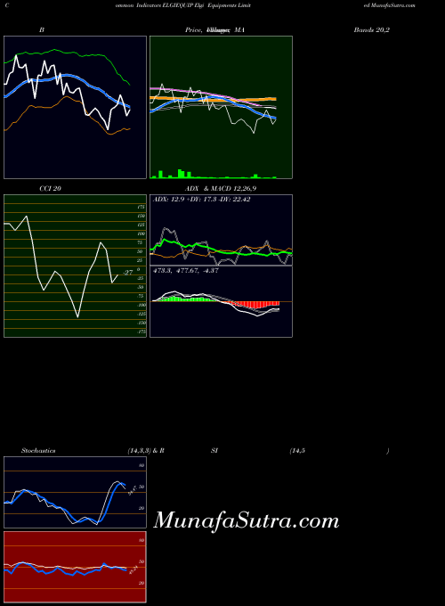 Elgi Equipments (ELGIEQUIP) forecast target analysis (Buy Sell