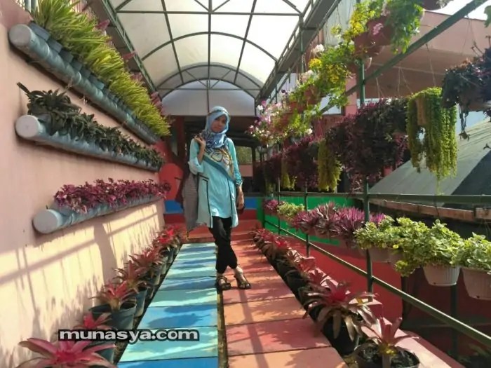 Pesona Wisata Bukit Flora Pasuruan dan Harga Tiket Masuknya