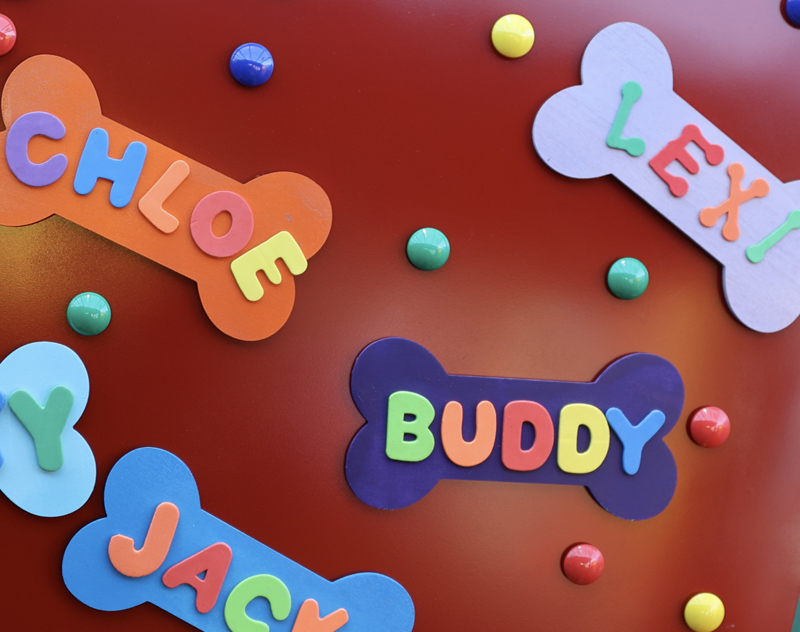 services Munchkinland