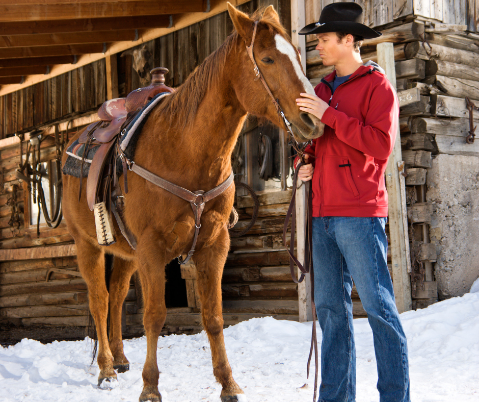 Three Key Horse Trailer Safety Tips Muncy Corporation