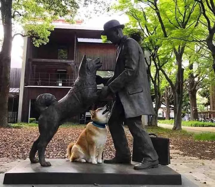 Hachiko, la historia del perro más fiel de todos los tiempos Mundo 724