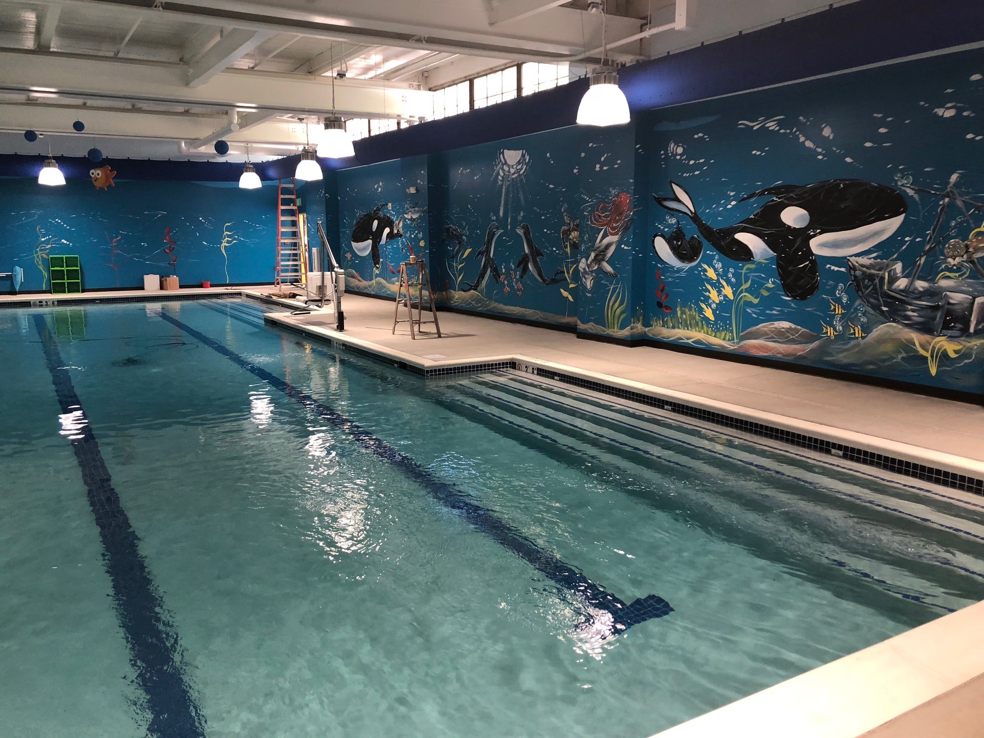 Interior Fitout and Heated Pool Installation for Goldfish Swim School