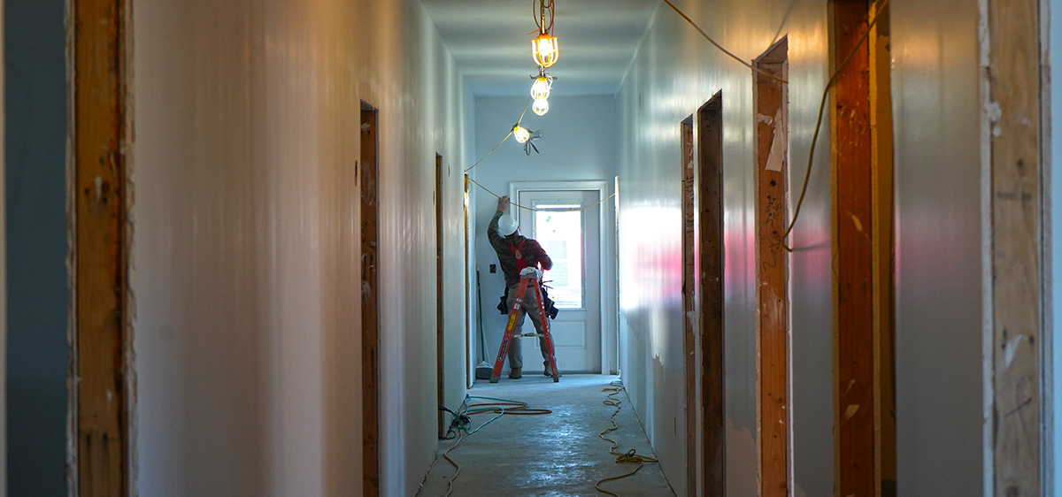 The Metro Pooch - New Construction