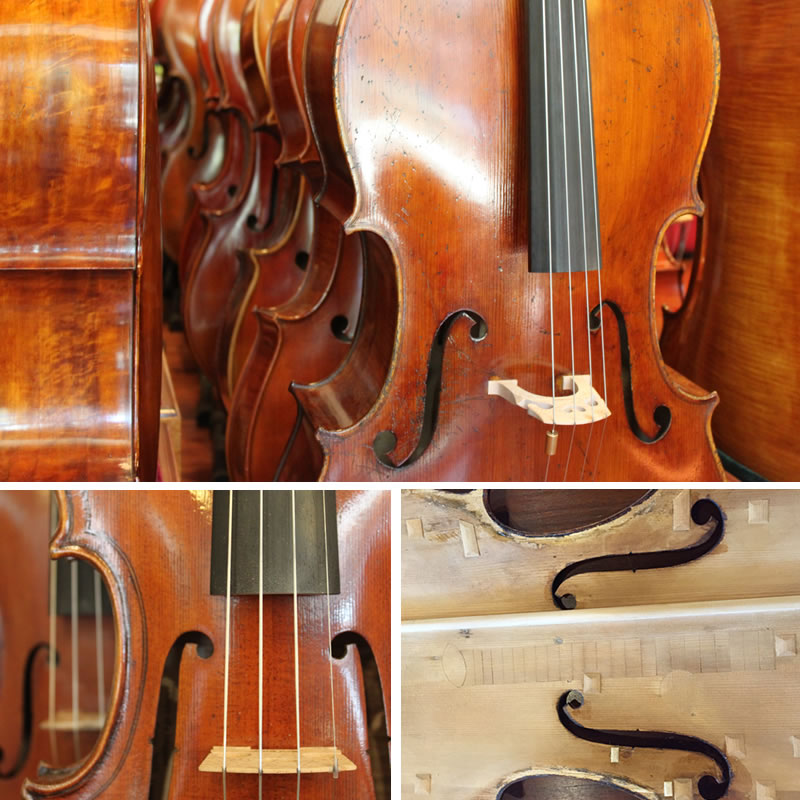 Muni Strings Cello sales and service. Orlando, Winter Park, Central FL