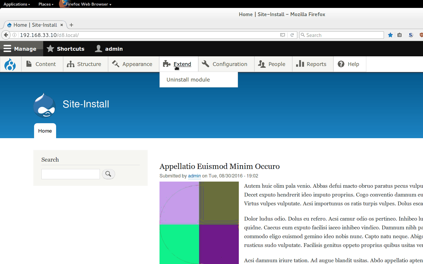 Setting up a Vagrant Scotch Box with Drush support for