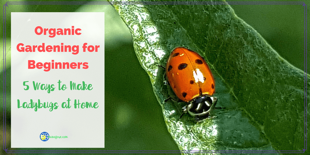organic gardening at home