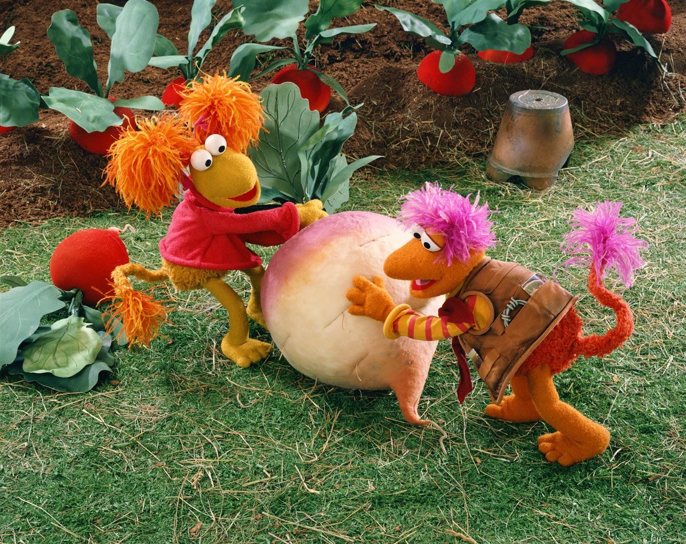Muppetology 101 Intro to Fraggle Botany The Muppet Mindset